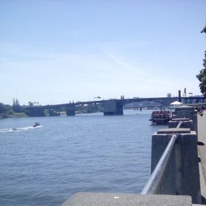 Meet your Posher, Olive